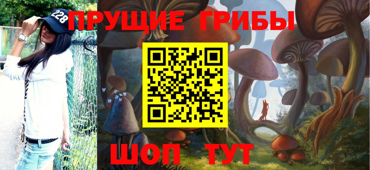 Галлюциногенные грибы мицелий Минусинск